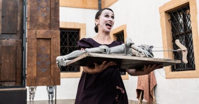 Geisslers Hofcomoedianten profesionalizace