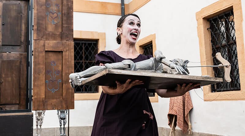 Geisslers Hofcomoedianten profesionalizace