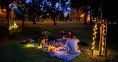 Hostina dravců Rádobydivadlo Klapý - sbírka