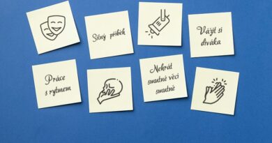 Seznam báječných věcí na divadle