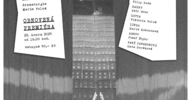 Divadlo bez zákulisí Sokolov, Bengt Alphors: Divadelní komedie, plakát, 2025